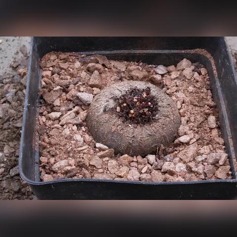 多多天气app最新版下载（多多天气预报下载）
