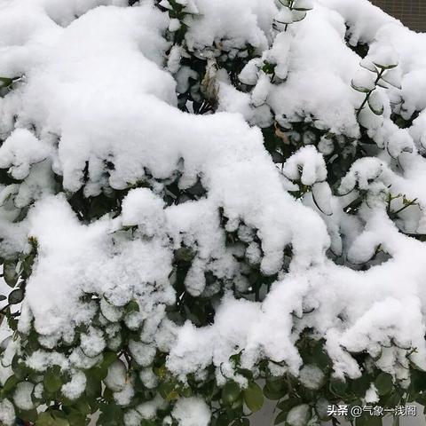 未来十天将有大范围雨雪天气（未来十天有大雪吗）
