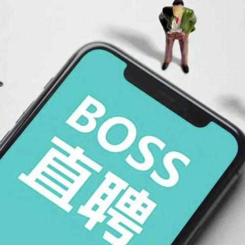 招聘网（招聘网boss直聘）
