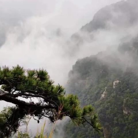 庐山天气预报（庐山天气预报15天最新消息）