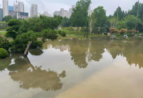 河南近期雨水（河南近期雨水多吗）
