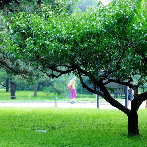 北京天气app（北京天气app官网下载最新版）