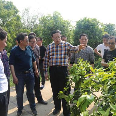 长沙未来一周天气预报(长沙未来一周天气预报澧县天气情况) 长沙未来一周天气预报(长沙未来一周天气预报澧县天气情况)