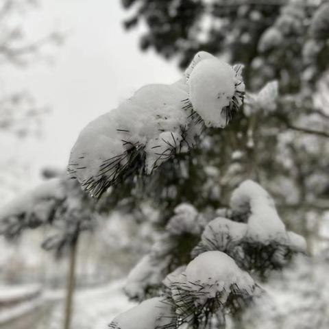 十五天天气预预报（十五天天气预预报郑州）