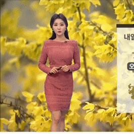北京发布一周天气预报（北京天气预报一周内）