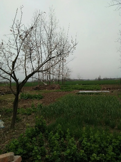颍东区天气预报(颍东区天气预报15天忝加桌面) 颍东区天气预报(颍东区天气预报15天忝加桌面)