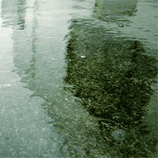 阳江天气预报（阳江天气预报每天都下雨是不是真的）