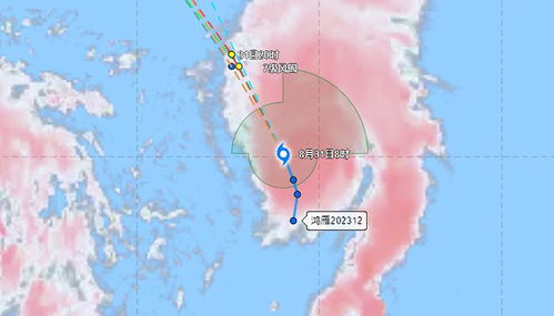 台风网（台风网温州台风路线图）